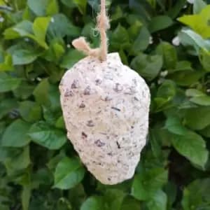 Wild Garden Bird Suet Pinecone Containing Suet and Seeds with Hanging String - Tom Chambers