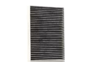 RIDEX Pollen filter 424I0408 Filter, interior air,Cabin filter RENAULT,NISSAN,Kadjar (HA_, HL_),Megane IV Schragheck (B9A/M/N_)