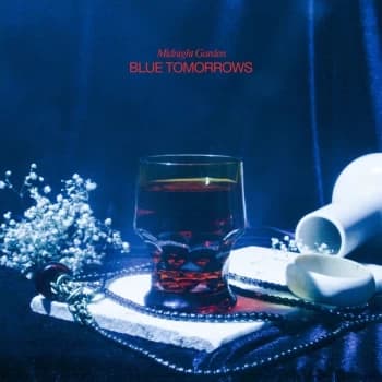 Midnight Garden - Blue Tomorrows Vinyl
