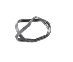 Bosch V-ribbed belt TOYOTA,MAZDA,KIA 1 987 947 880 GFB360,GFB372,GFB70755 4431887703,31110PK3003,31110PK30030,31110PK30031,31110PM3003,31110PM3004