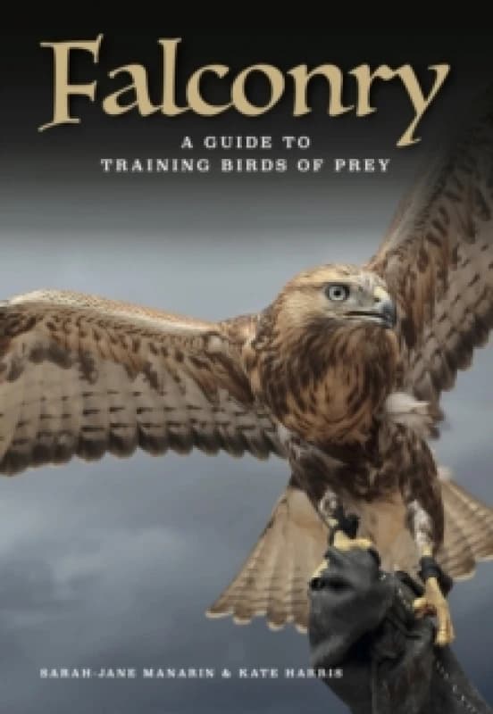 Falconry : A guide to training birds of prey Hardback