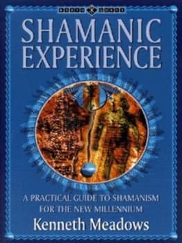 Shamanic Experience by Kenneth Meadows Paperback