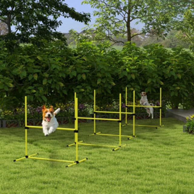 PawHut Dog Agility Equipment Training Height Adjustable Jumps Hurdle 4 Pieces with Carrying Bag for Outdoor, Yellow, Yellow D07-018V00YL