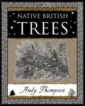 Native British trees by Andy Thompson