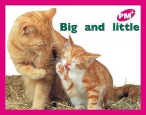 Big and Little Pm Plus Magenta 2 Paperback