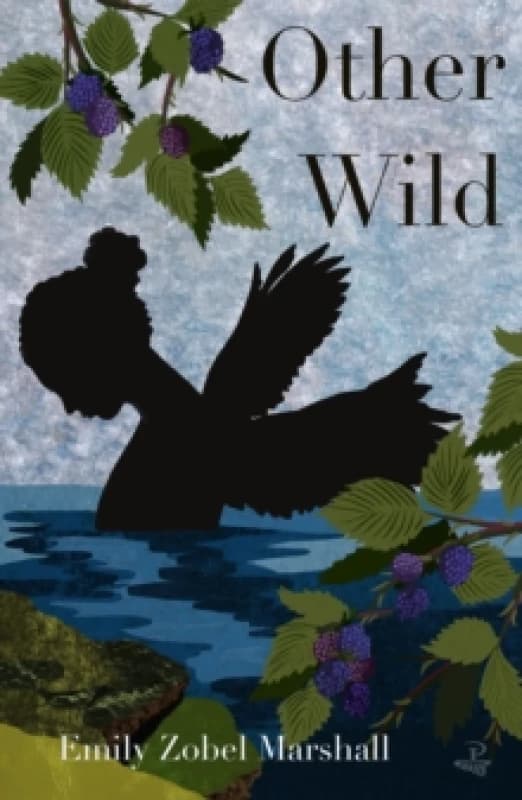 Other Wild Paperback / softback