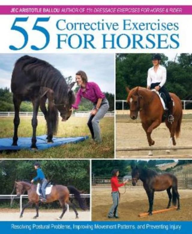 55 Corrective Exercises for Horses : Resolving Postural Problems, Improving Movement Patterns, and Preventing Injury Hardback