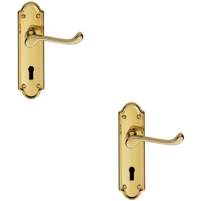 Loops 2x PAIR Victorian Upturned Handle on Lock Backplate 168 x 47mm Polished Brass Metallics