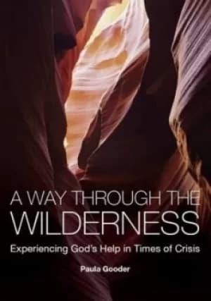 A way through the wilderness by Paula Gooder
