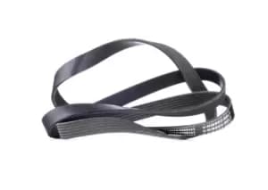 RIDEX V-ribbed belt OPEL,FORD,RENAULT 305P0086 91151716,6788619,6788620 Serpentine belt,Auxiliary belt,Poly V-belt,Ribbed belt,Multi V-belt,Poly belt