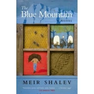 The Blue Mountain by Meir Shalev Paperback - 2002