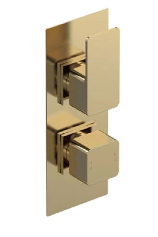 Balterley Modern Concealed Square Twin Thermostatic Shower Valve Brushed Brass in Metallics Metallics Unisex