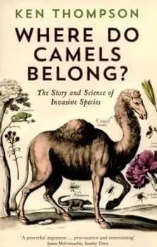 Where do camels belong? by Ken Thompson