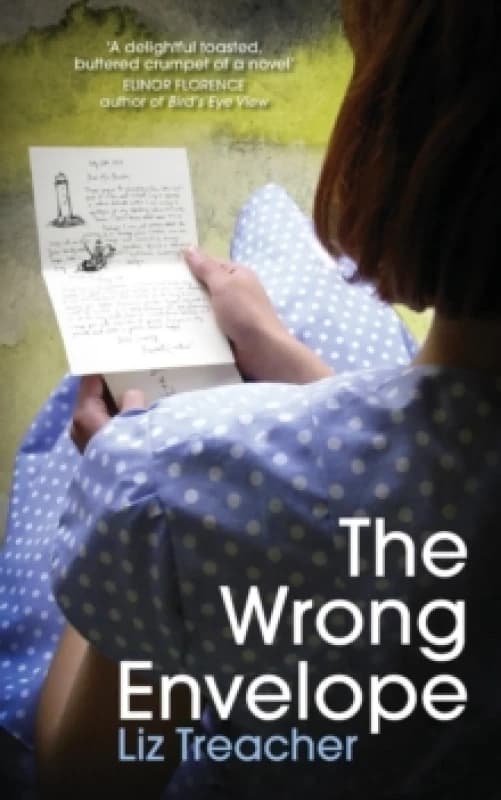 The Wrong Envelope Paperback / softback