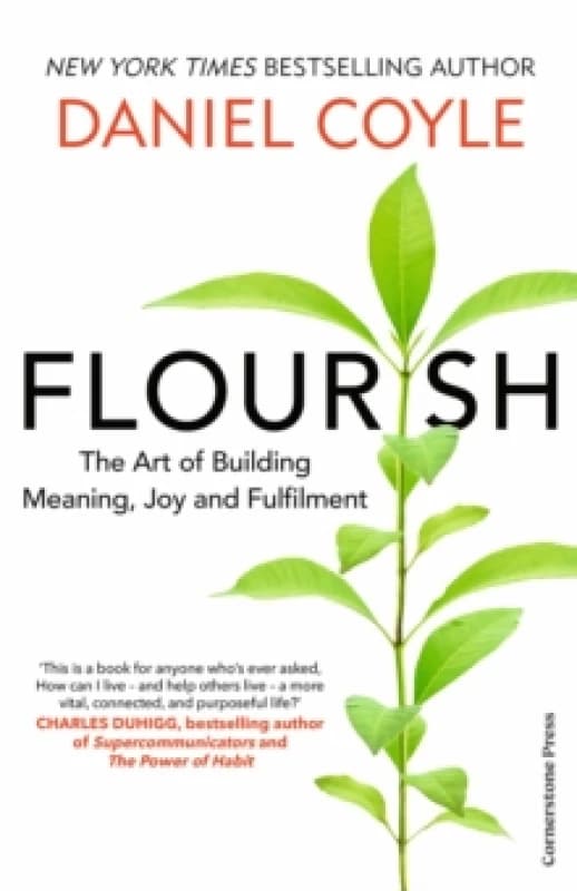 Flourish : The Art of Building Meaning, Joy and Fulfilment Hardback