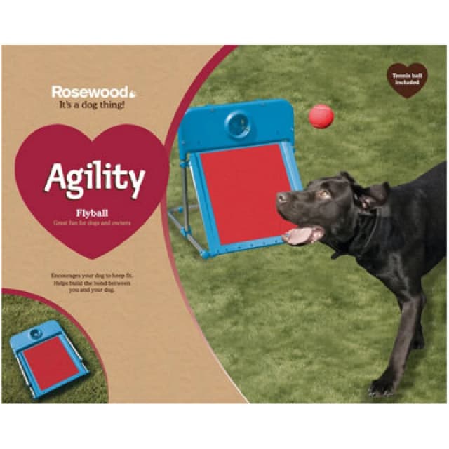 Agility Flyball