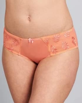 Panache Tango II Coral Briefs