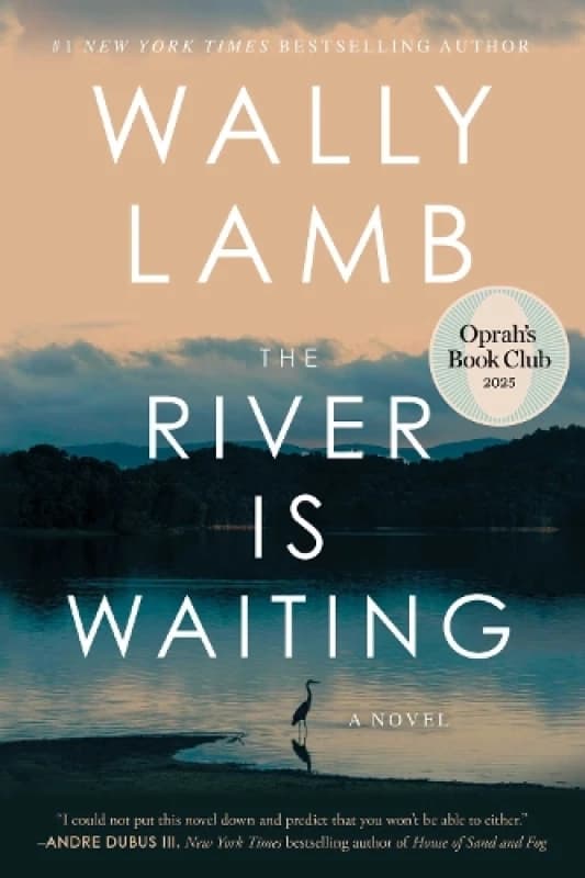 The River Is Waiting (Oprah's Book Club) : A Novel Hardback