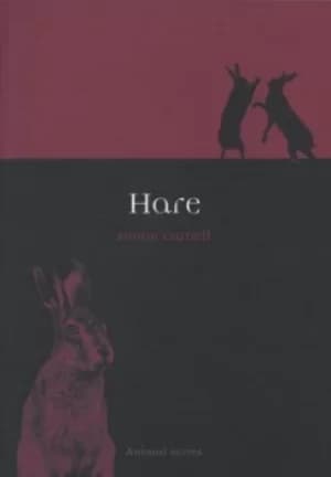 Hare by Simon Carnell