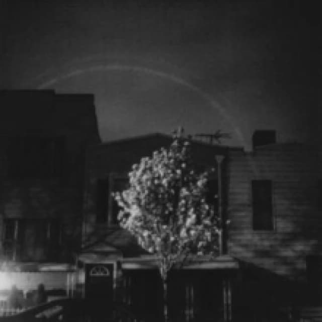 Hands in the honey jar Vinyl