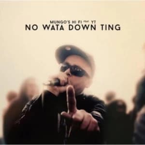 Mungo's Hi-Fi Feat. YT - No Wata Down Ting Vinyl