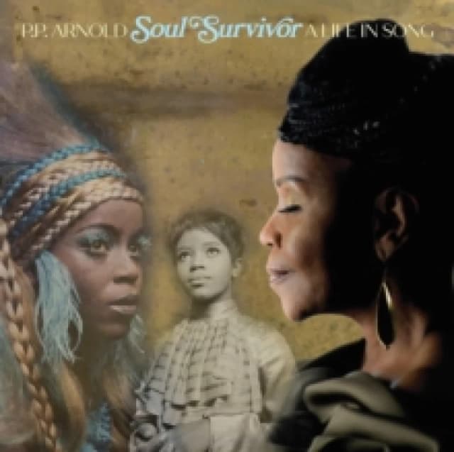 Soul Survivor: A Life in Song Vinyl