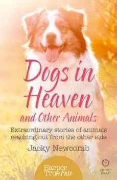 Dogs in heaven and other animals by Jacky Newcomb