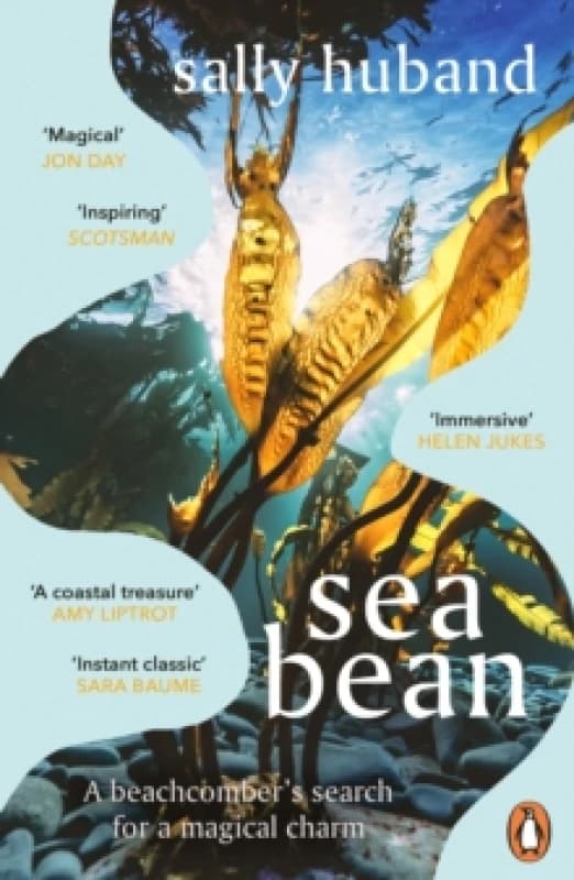Sea Bean Paperback / softback