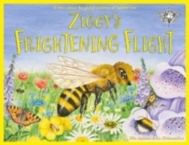 Ellie Jackson Ziggy's Frightening Flight Book Multi