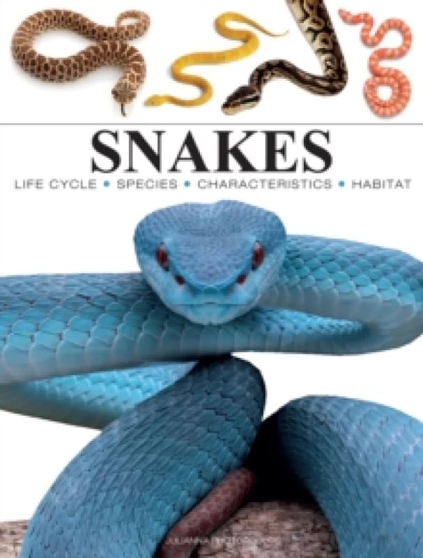 Snakes Paperback / softback