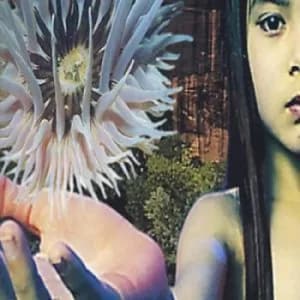 Lifeforms by The Future Sound of London CD Album