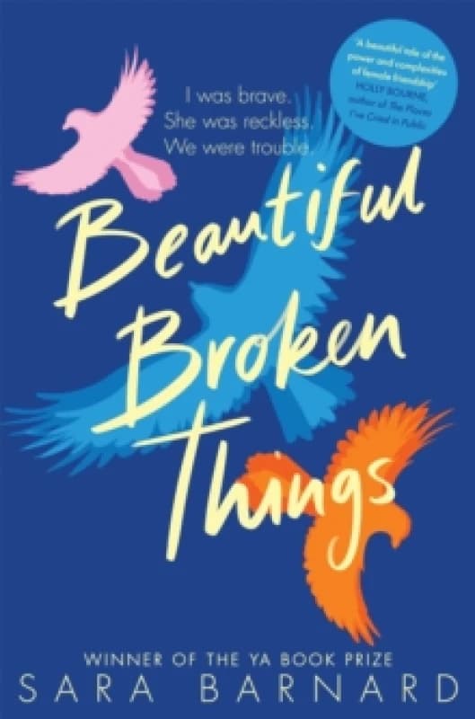 Beautiful Broken Things Paperback / softback