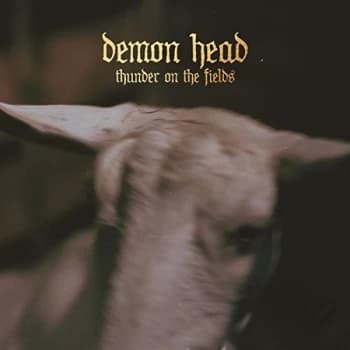 Demon Head - Thunder On the Fields CD