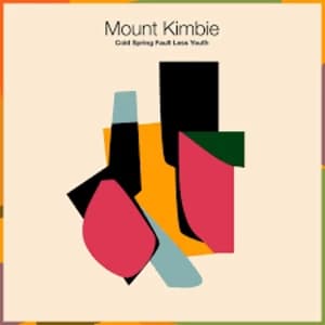 Mount Kimbie - Cold Spring Fault Less Youth Vinyl