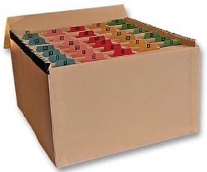 Manilla Mylar Reinforced 31 Pocket Expanding File (1-31)