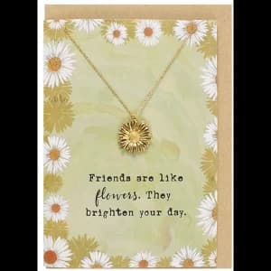 Friends Are Like Flowers Necklace And Card Set
