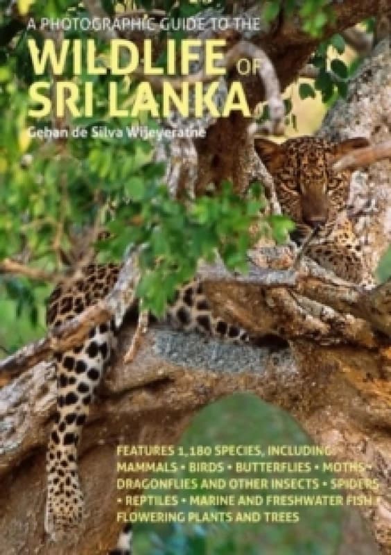 A Photographic Guide to the Wildlife of Sri Lanka Paperback / softback