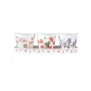 Wrendale Designs - Floral Herb Pots Set of 3 With Tray