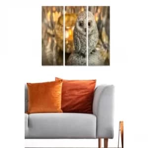 MDF3862225 Multicolor Decorative MDF Painting (3 Pieces)