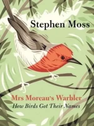 Mrs Moreaus warbler by Stephen Moss