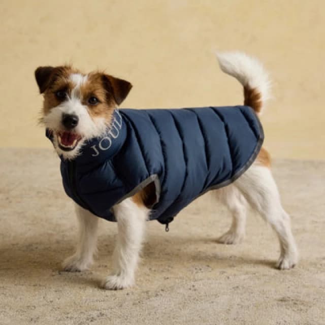 Rosewood X Joules Moorsdale Navy Reversible Puffer Dog Coat