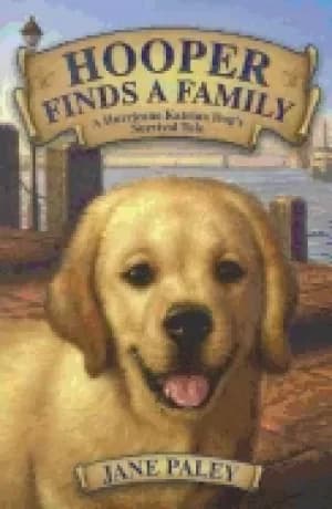 hooper finds a family a hurricane katrina dogs survival tale