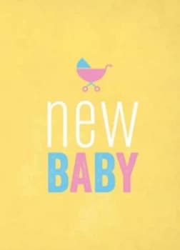 New Baby by Summersdale Hardback