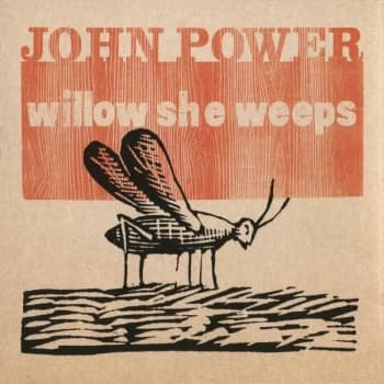 John Power - Willow She Weeps Vinyl