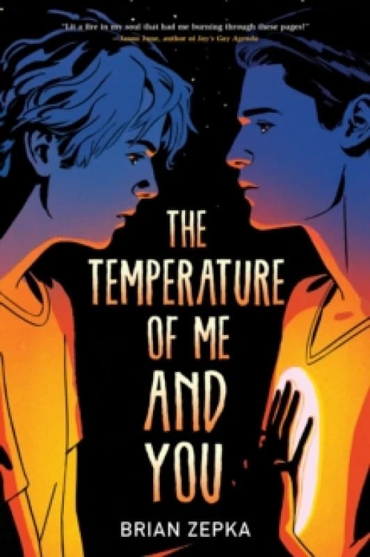 The Temperature Of Me And You Paperback / softback