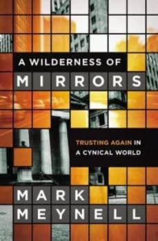 A Wilderness of Mirrors by Mark Meynell Paperback