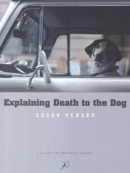Explaining Death to the Dog by Susan Perabo Paperback