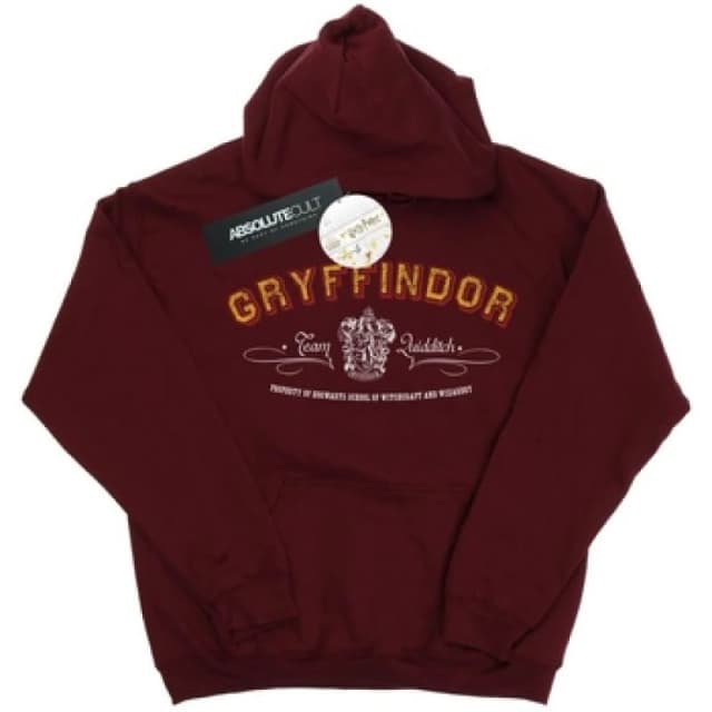 Harry Potter Gryffindor Team Quidditch Hoodie Burgundy male