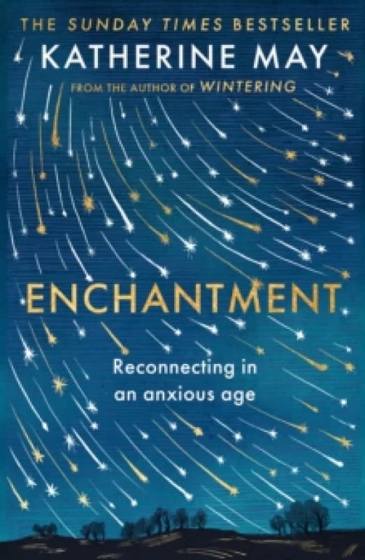 Enchantment. Paperback. By Katherine May Books