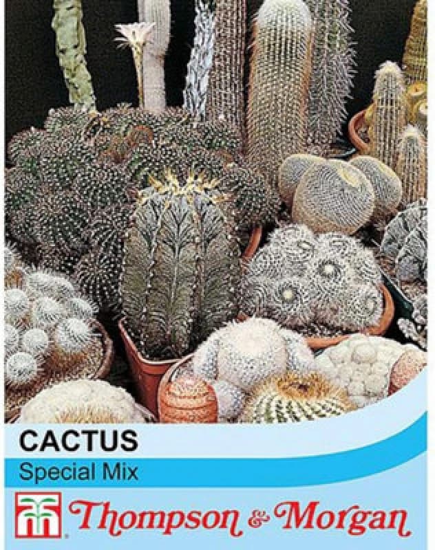 Thompson & Morgan Cactus T&m Special Mix 1 Seed Packet (80 Seeds)